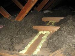 attic air sealing