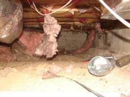 fiberglass batt insulation in crawlspace