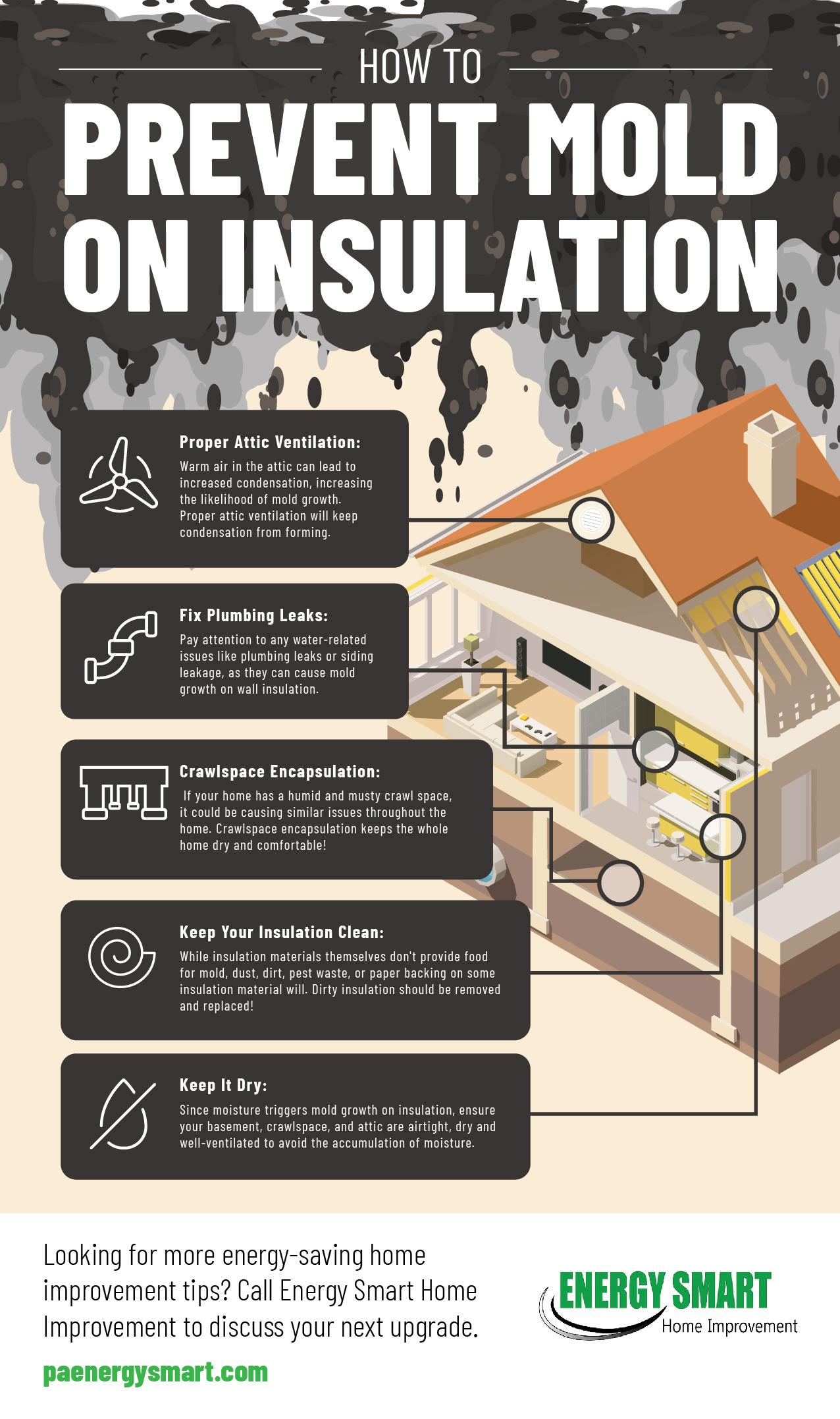 How To Prevent Mold on Insulation infographic