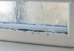 Energy Smart Home Improvement, Mold on window, PA