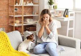 Is It Spring Allergies or Poor Indoor Air Quality? blog header image 