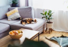 Creating a Comfortable Home: The Whole-Home Approach Explained blog header image 
