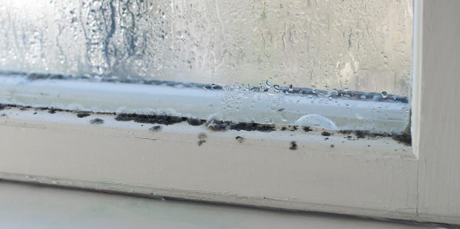 Energy Smart Home Improvement, Mold on window, PA