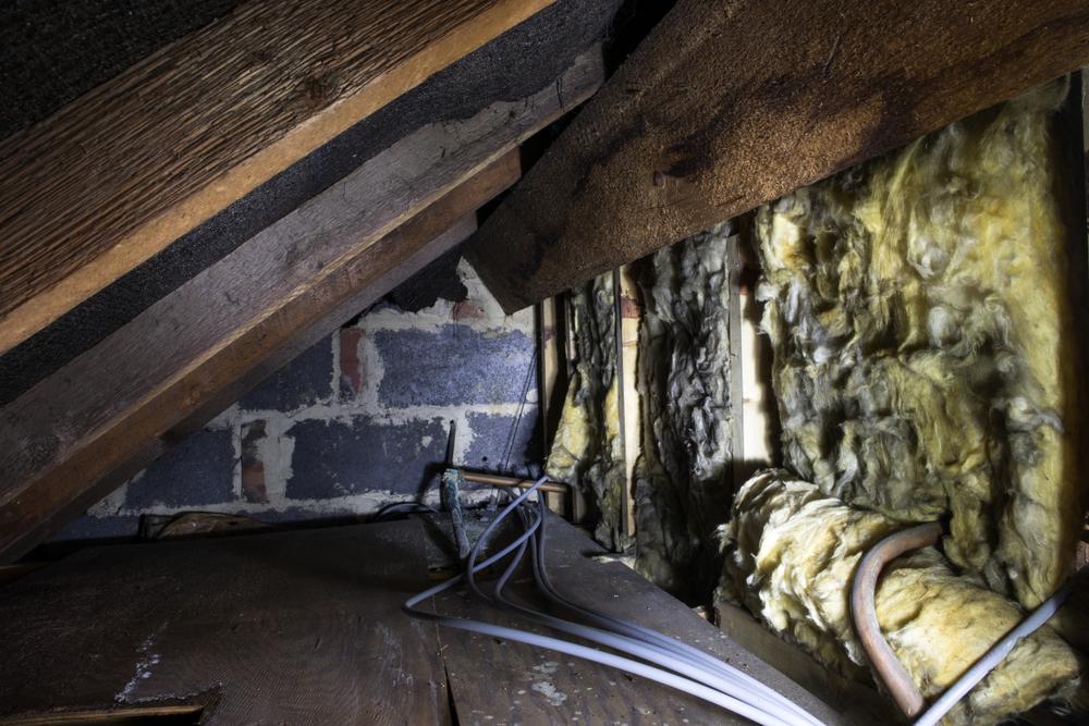 crawlspace beneath house