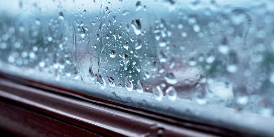 Condensation on a Home's Window due to High Humidity